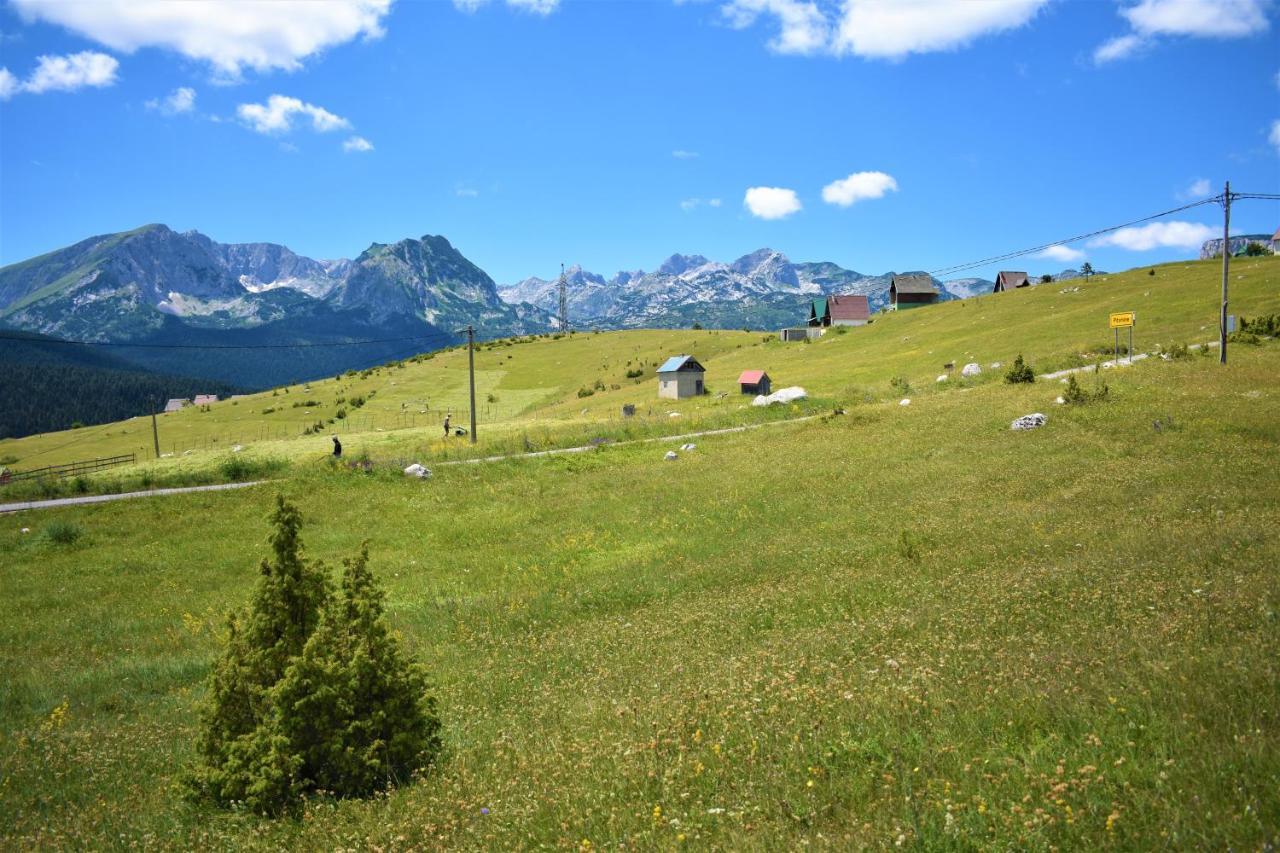 Durmitor View Villa Žabljak Exteriör bild